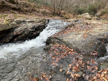 Ranch Property for sale in Wilkes County, North Carolina