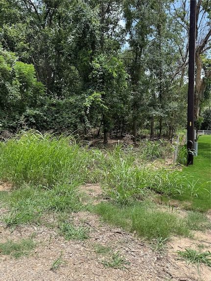 Undeveloped Land for sale in Bastrop County, Texas