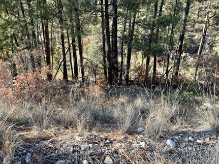 Undeveloped Land for sale in Otero County, New Mexico