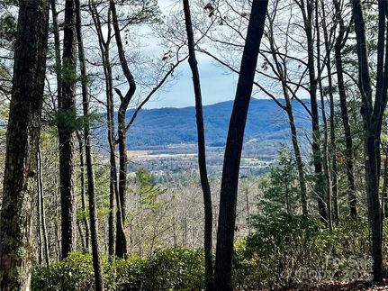 Undeveloped Land for sale in Transylvania County, North Carolina