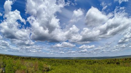 Property for sale in Washington County, Maine