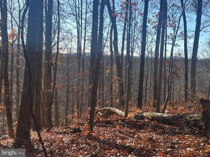 Undeveloped Land for sale in Loudoun County, Virginia