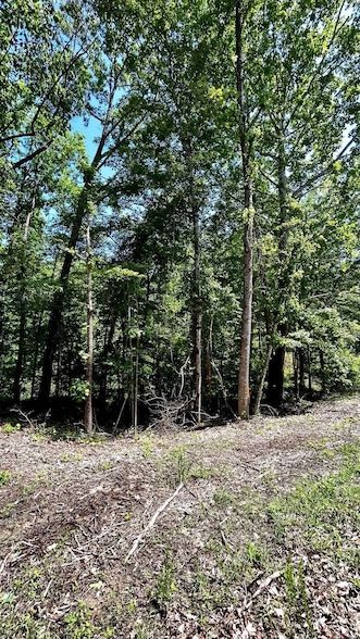 Undeveloped Land for sale in Hardeman County, Tennessee