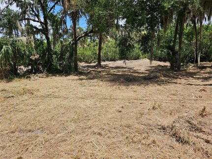 Undeveloped Land for sale in Hillsborough County, Florida
