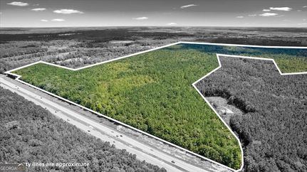 Undeveloped Land for sale in Liberty County, Georgia