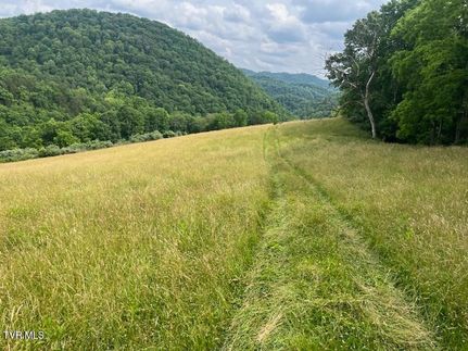 Undeveloped Land for sale in Scott County, Virginia