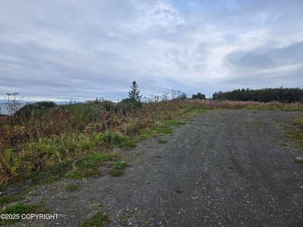 Undeveloped Land for sale in Kenai Peninsula Borough, Alaska