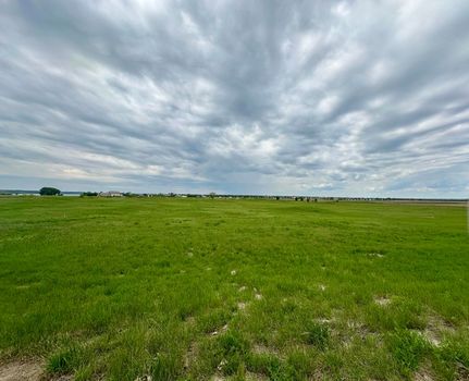 Undeveloped Land for sale in Sully County, South Dakota