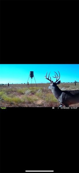 Undeveloped Land for sale in Baylor County, Texas