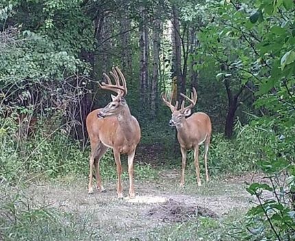 Property for sale in Benton County, Minnesota