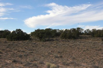 Horse Property for sale in Apache County, Arizona