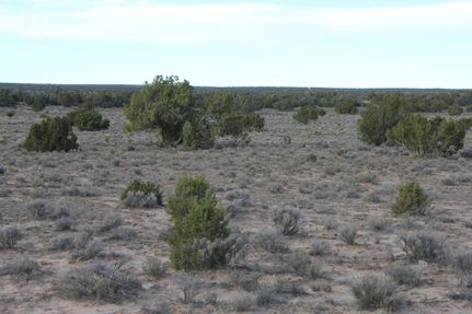 Timberland Property for sale in Apache County, Arizona