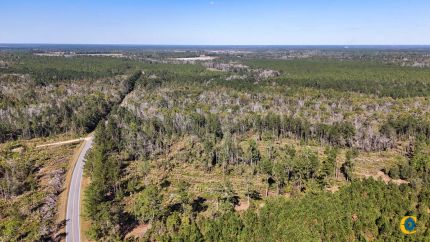 Residential Property for sale in Bacon County, Georgia