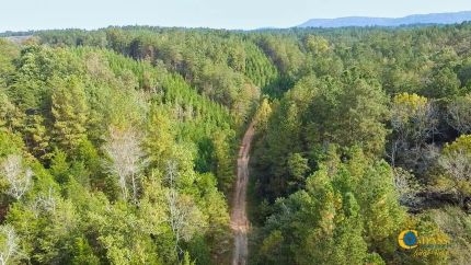 Timberland Property for sale in Gordon County, Georgia