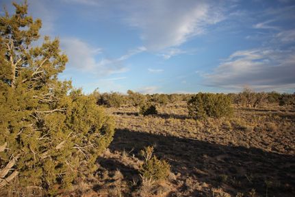 Residential Property for sale in Apache County, Arizona