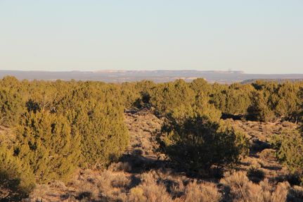 Property for sale in Apache County, Arizona