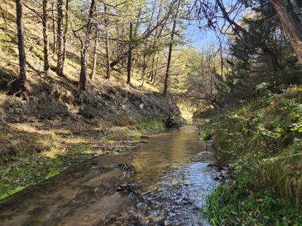 Farm Property for sale in Brown County, Nebraska