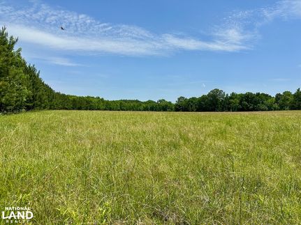 Property for sale in Lowndes County, Alabama