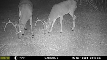 Property for sale in Brown County, Texas