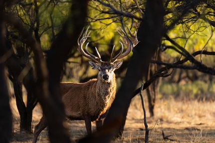 Farm Property for sale in Coleman County, Texas