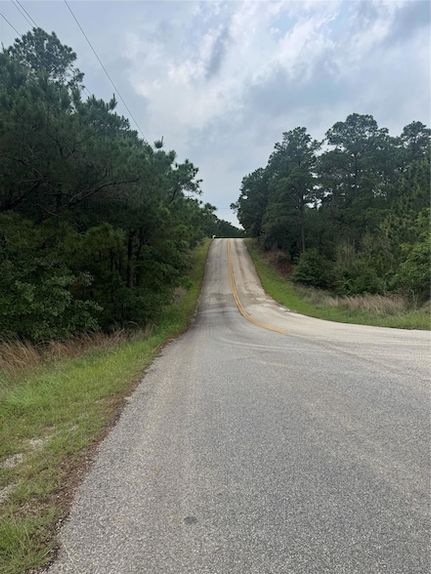 Undeveloped Land for sale in Bastrop County, Texas
