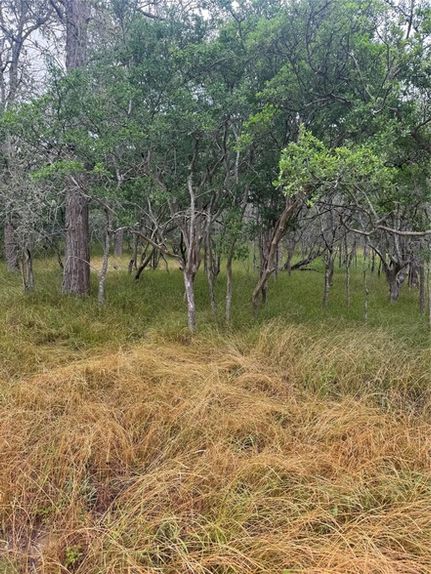 Undeveloped Land for sale in Bastrop County, Texas