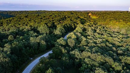 Undeveloped Land for sale in Stone County, Missouri
