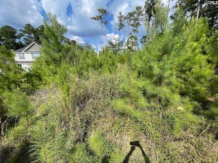 Property for sale in Richland County, South Carolina