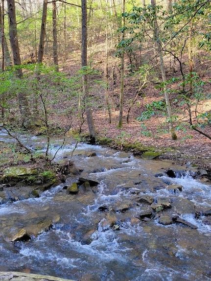 Property for sale in Sequatchie County, Tennessee