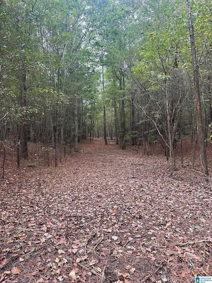Undeveloped Land for sale in Saint Clair County, Alabama