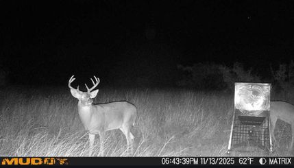 Property for sale in Briscoe County, Texas