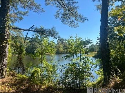 Lakefront Property for sale in East Feliciana Parish, Louisiana