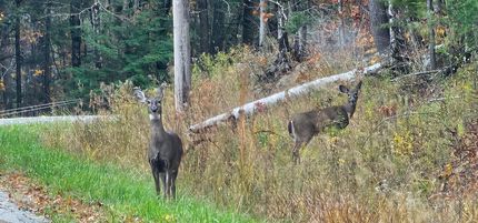 Property for sale in Kennebec County, Maine