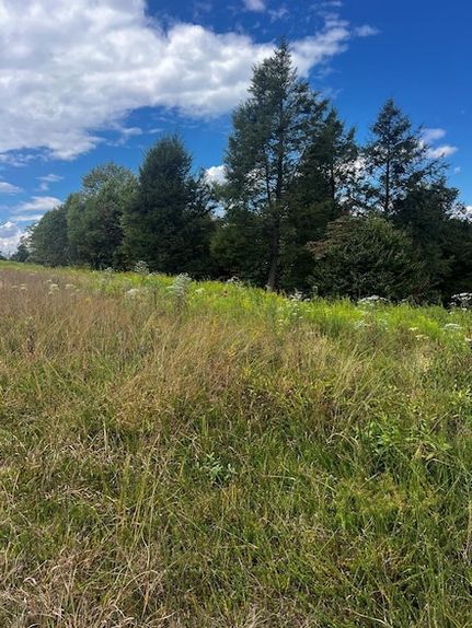 Property for sale in Nicholas County, West Virginia