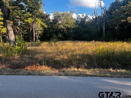 Ranch Property for sale in Smith County, Texas