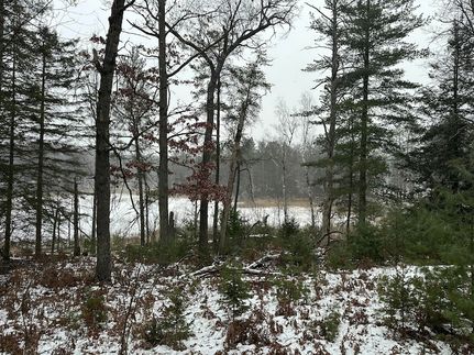 Lakefront Property for sale in Oscoda County, Michigan