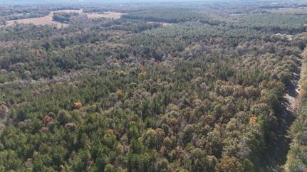 Timberland Property for sale in Pike County, Alabama