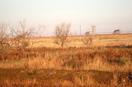 Horse Property for sale in Floyd County, Texas