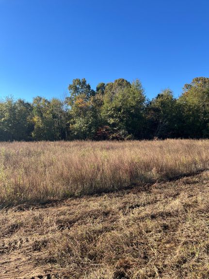 Undeveloped Land for sale in Kershaw County, South Carolina