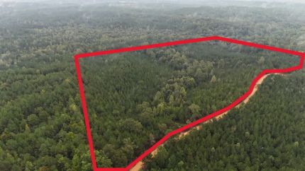 Undeveloped Land for sale in Itawamba County, Mississippi