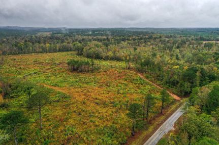 Hunting Land for sale in Webster County, Mississippi