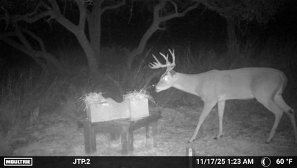 Property for sale in Lampasas County, Texas