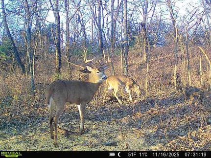 Property for sale in Osage County, Kansas