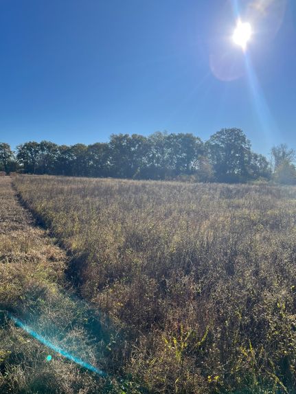 Property for sale in Kershaw County, South Carolina