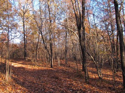 Hunting Land for sale in Madison County, Arkansas