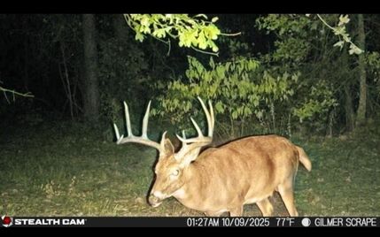 Hunting Land for sale in Upshur County, Texas