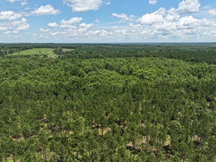 Ranch Property for sale in Harrison County, Texas