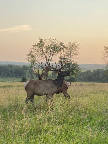 Ranch Property for sale in  , Minnesota