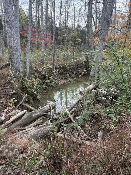 Timberland Property for sale in Lewis County, Kentucky