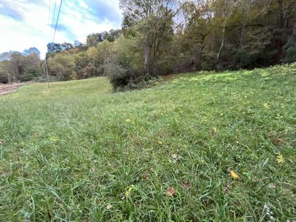Property for sale in Calhoun County, West Virginia